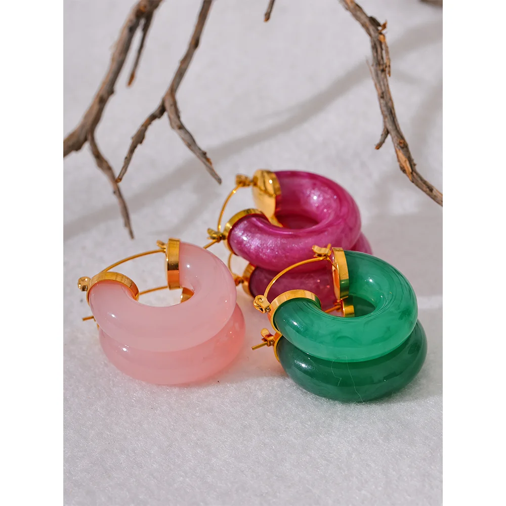 Colorful Resin Stainless Steel Round Earrings